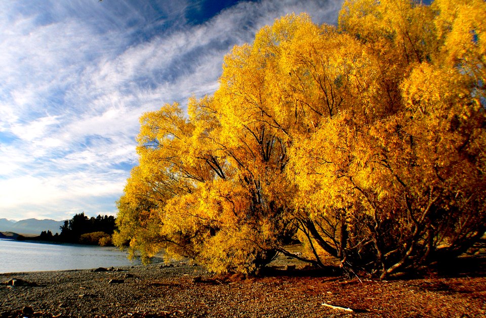 Autumn Lake Tekapo NZ. photo