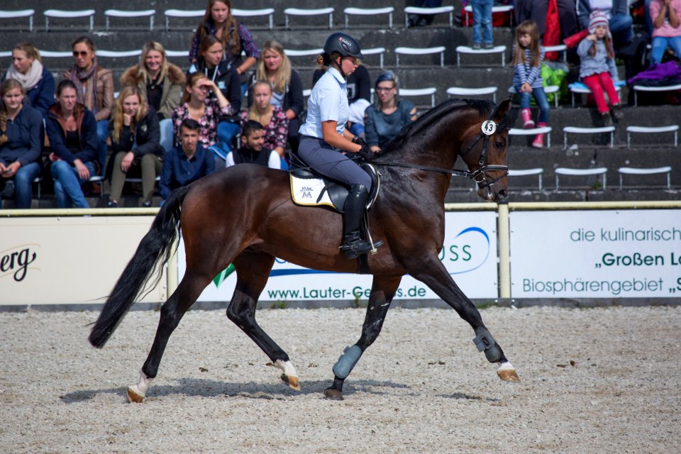 Remonten 20167878