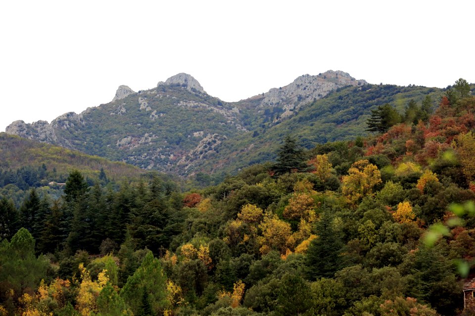 Les monts du Caroux