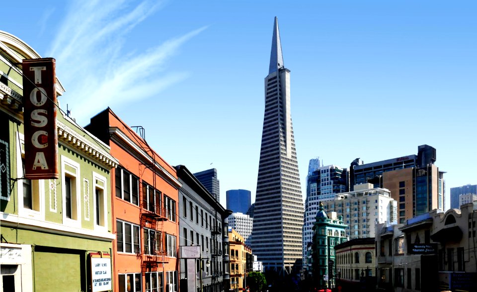 Transamerica Pyramid  San Francisco