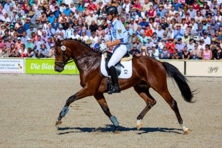 03Heron-Forlian20162281