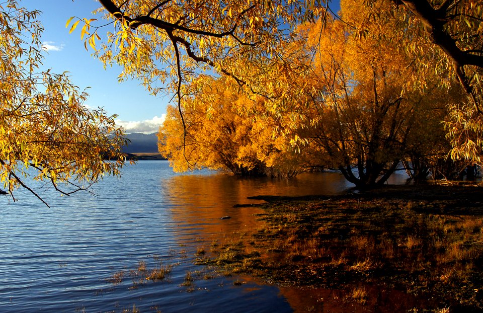Autumn Lake Tekapo. NZ