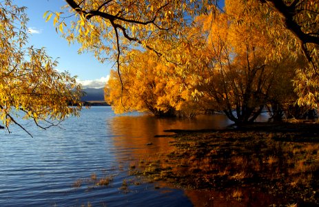 Autumn Lake Tekapo. NZ