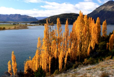 Glendhu Bay Wanaka NZ photo