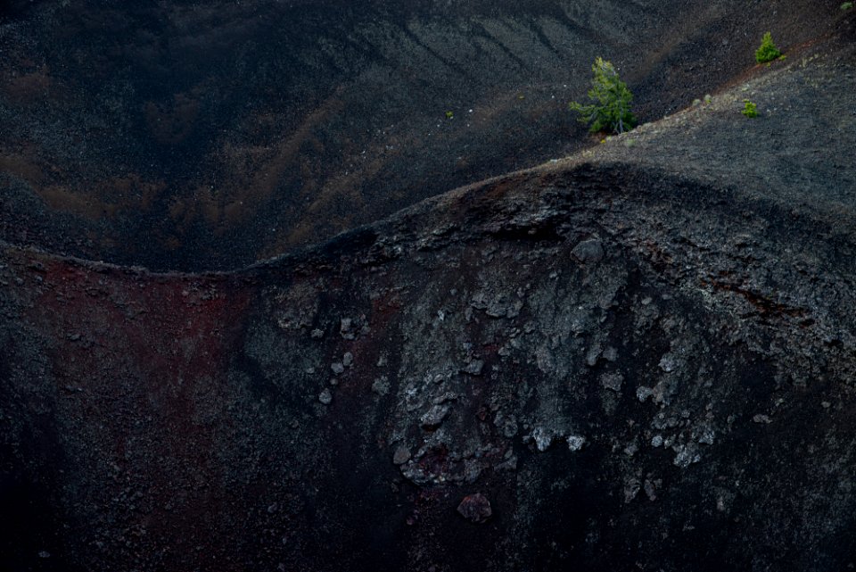 Craters and Limber Pines