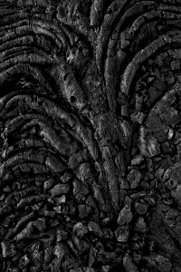 Pāhoehoe Lava Ropes