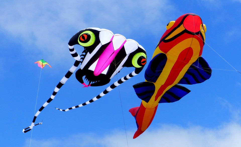 Kite flying day.