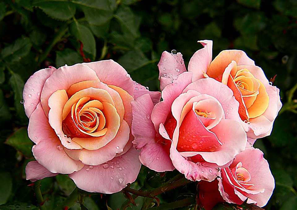 Softly softly.