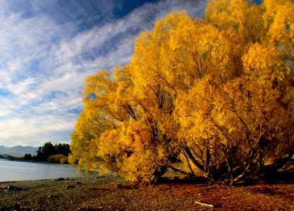 Autumn Lake Tekapo NZ photo