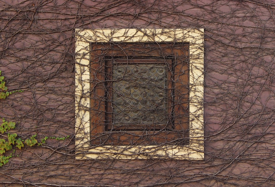 Window prague wall