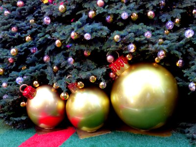 Under the Christmas tree. photo