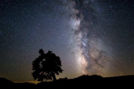 Milky Way and tree from Inferno Cone photo