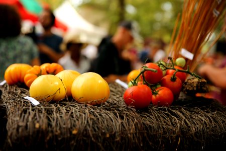 Festival de la tomate photo