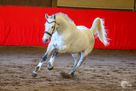 Isabeau 150900
