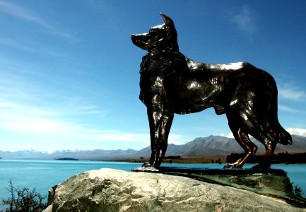 The sheepdog memorial, Lake Tekapo photo