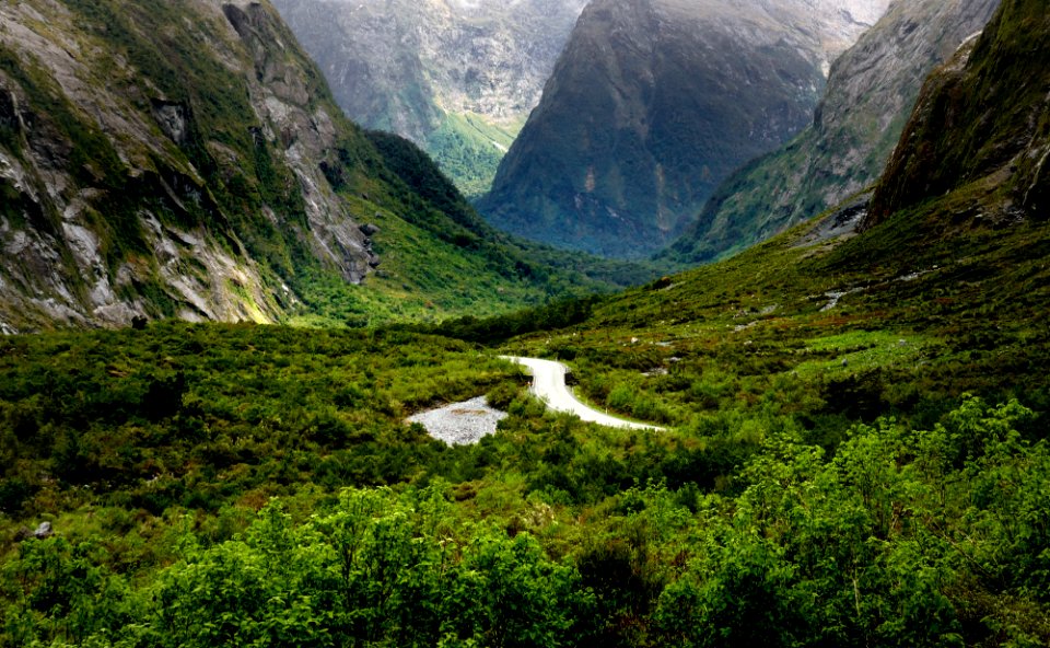 Cleddau Valley. Fiordland NP. NZ
