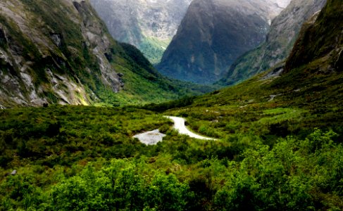 Cleddau Valley. Fiordland NP. NZ