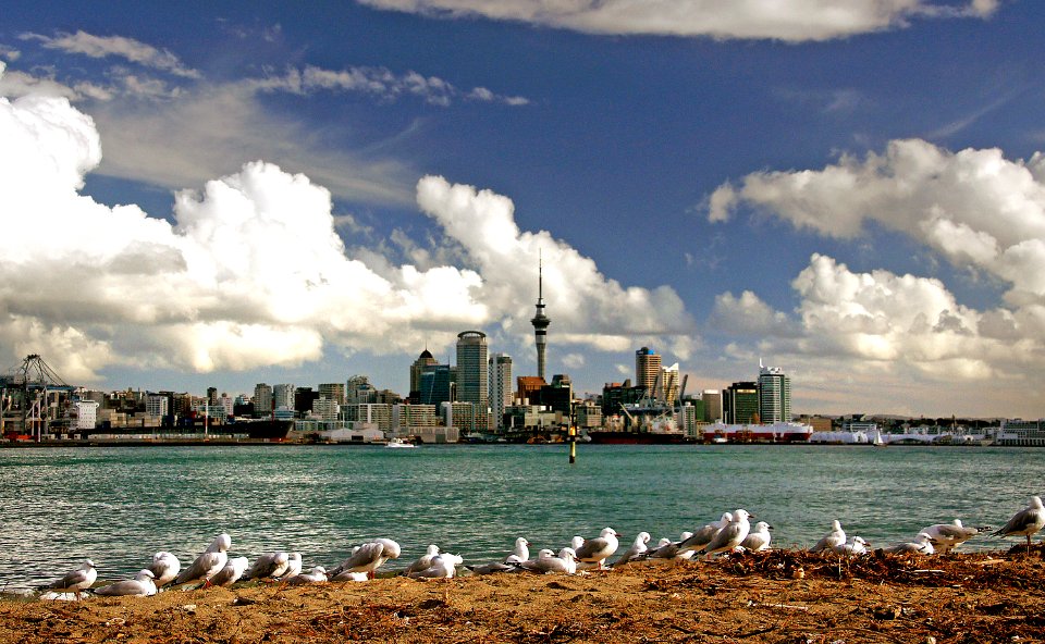 Auckland Skyline. NZ