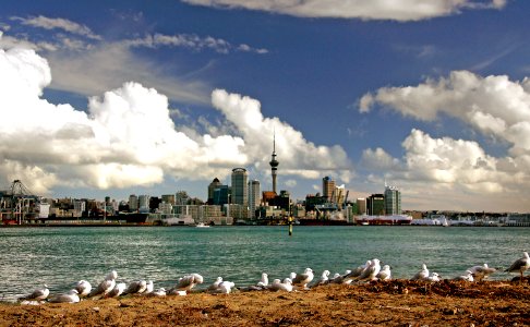 Auckland Skyline. NZ photo