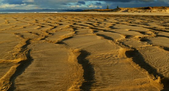 Sand scape. photo