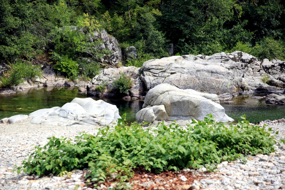 Le Gour du Moulasses