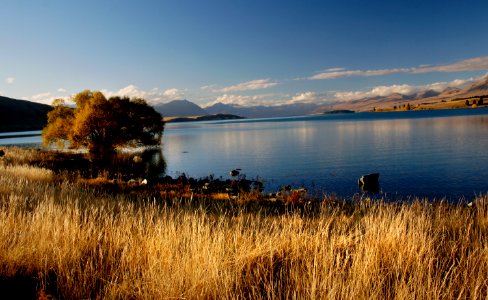 Autumn at Lake Tekapo NZ. photo