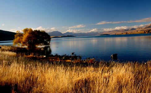 Autumn at Lake Tekapo NZ.
