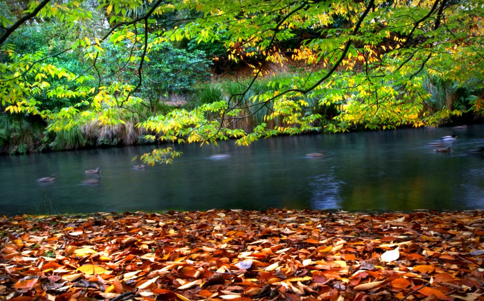 Changing seasons.