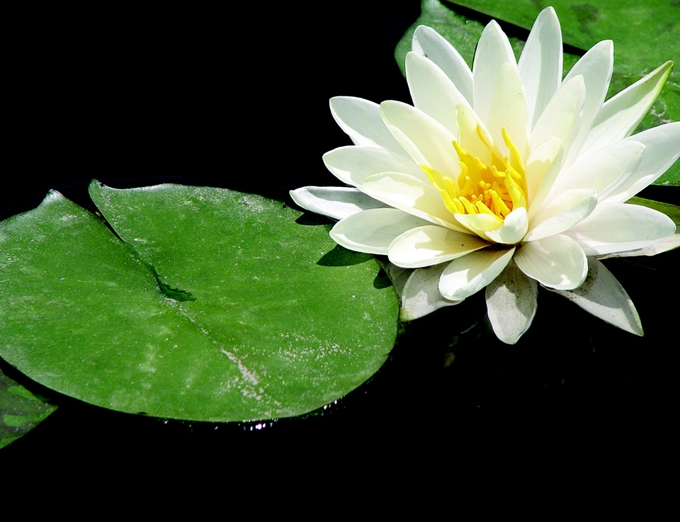Yoga relaxation nature
