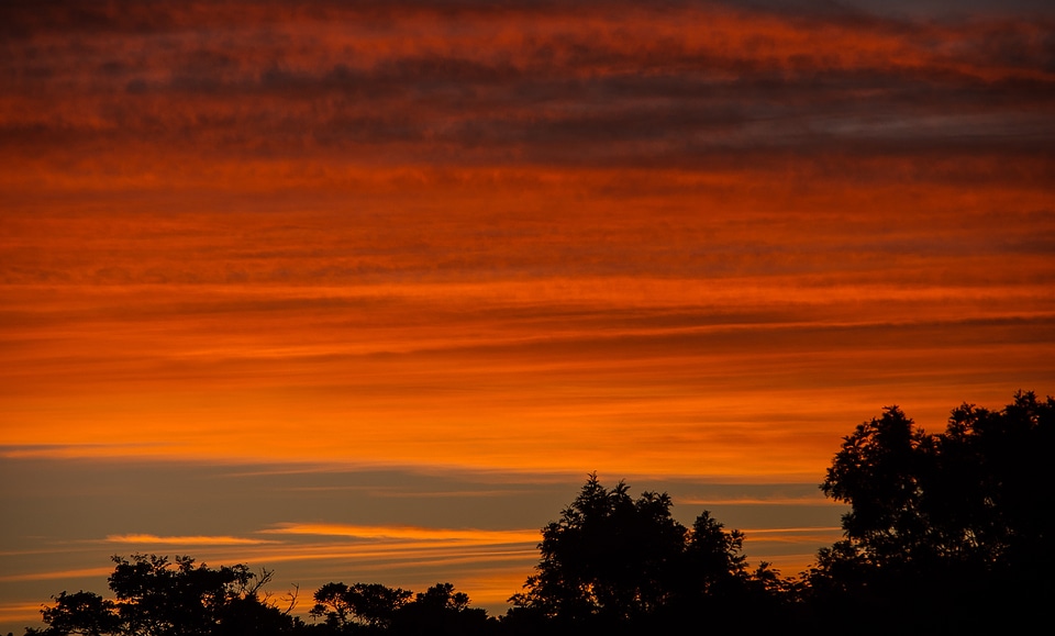 Orange grey dramatic
