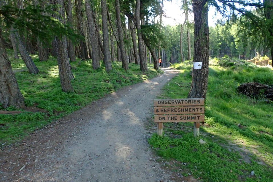 Mt. John Track
