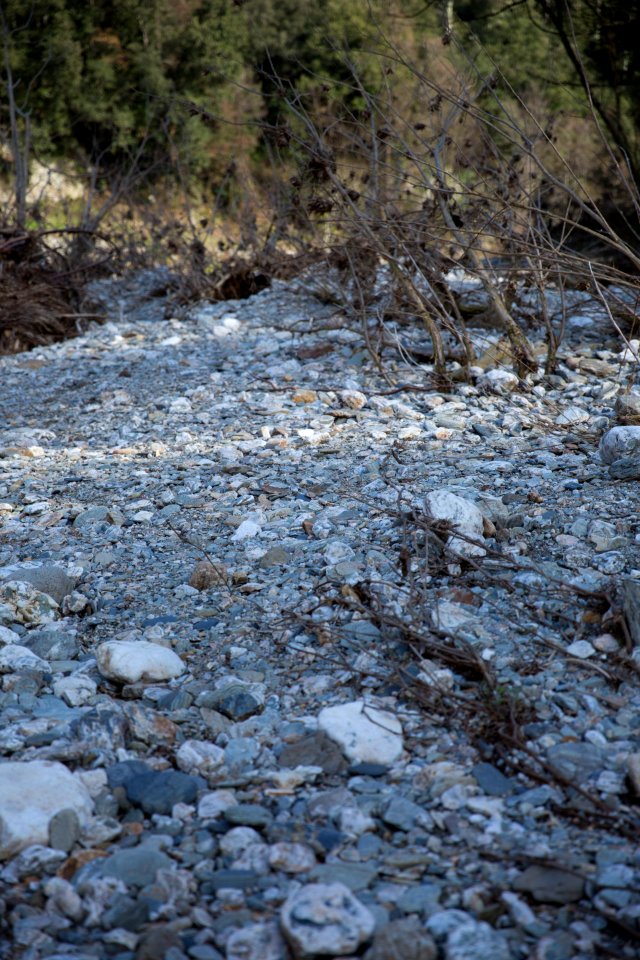 Les galets du Gardon