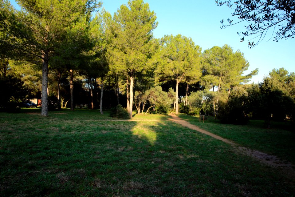 L'hiver sur la garrigue photo