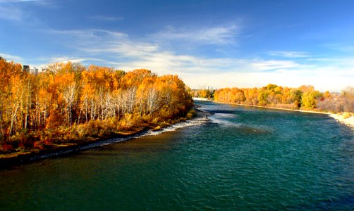Bow River Calgary. photo