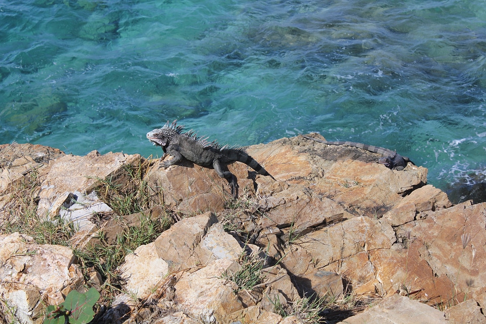 Nature sea water