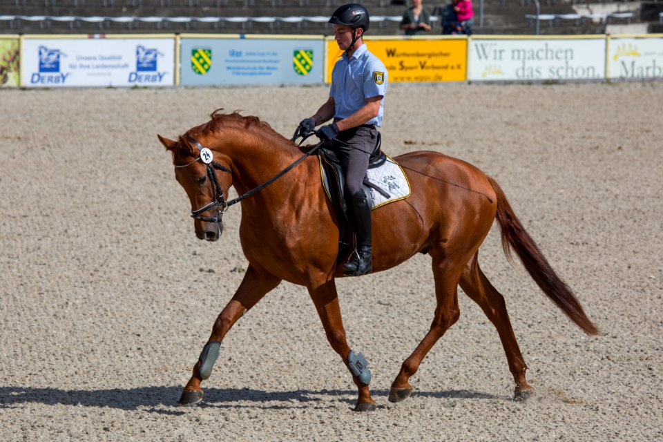Remonten 20167771