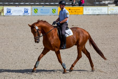 Remonten 20167771