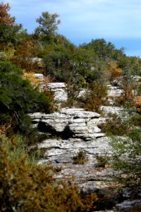 Des défilés calcaires en Sud Ardèche