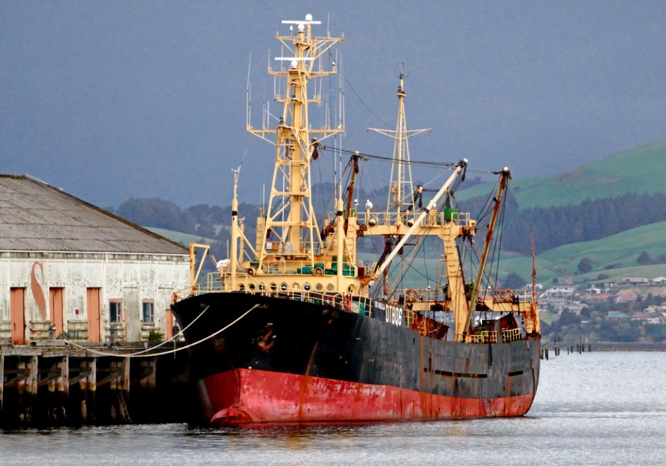 MELILLA  203. Trawler