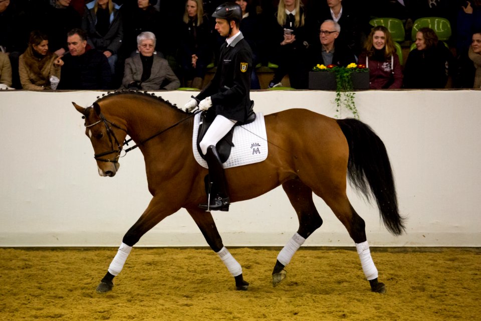 Lemercier 20162746