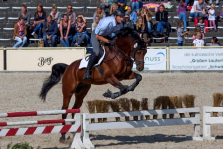 Quadrofino Josef L 20160327
