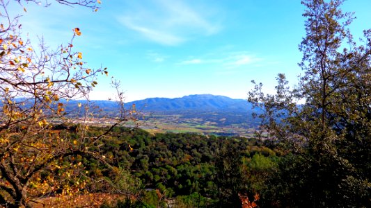 DSC00869-vv