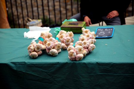 Des aulx roses photo