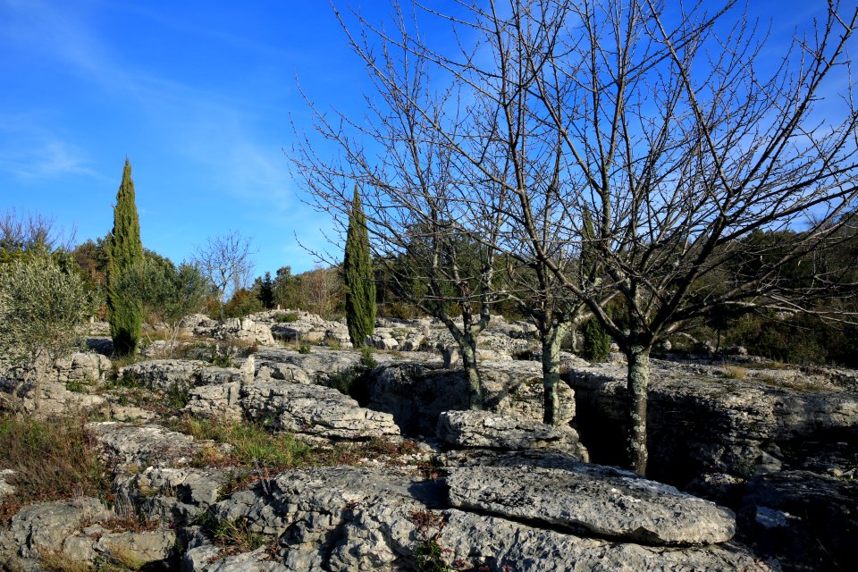 Le jardin minéral