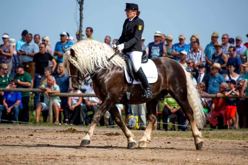 M 20166380Markstein