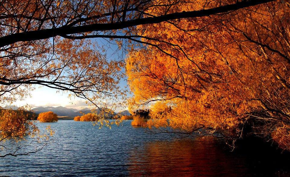Autumn at Lake Tekapo NZ