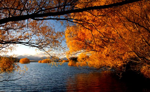 Autumn at Lake Tekapo NZ photo