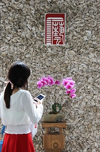 Figure portrait china