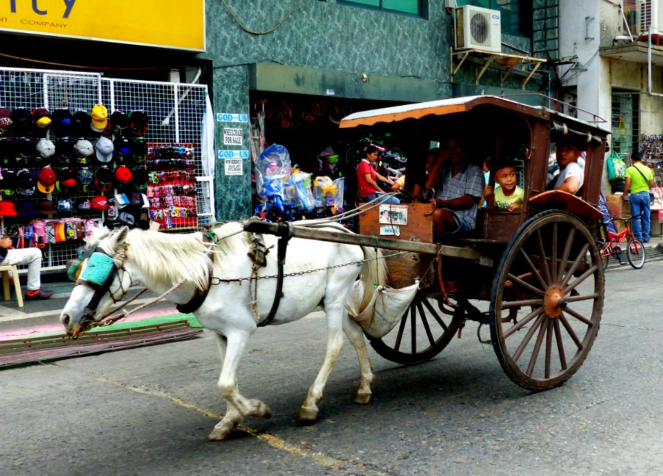 Horse drawn transport Laoag. Philippines.