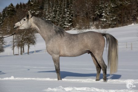 Naoufil0S3A1147